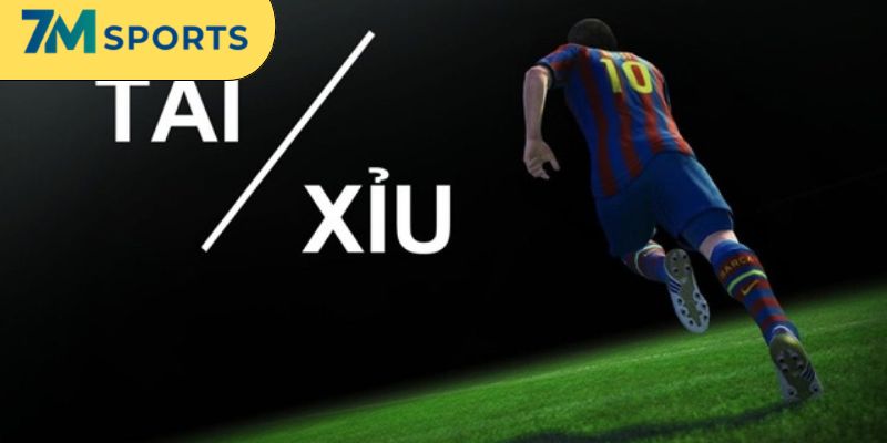 Chọn lọc trận đấu cẩn thận và kỹ càng