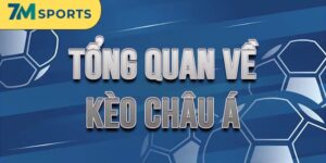 Kèo Châu Á Là Gì - Quy Luật Dự Đoán Bất Bại Dễ Hiểu