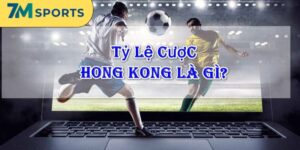 Tỷ Lệ Cược Hồng Kông Là Gì? Khám Phá Chi Tiết Tại 7m