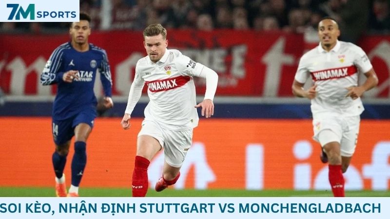 Soi kèo Stuttgart vs Monchengladbach